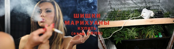 мдпв Семилуки