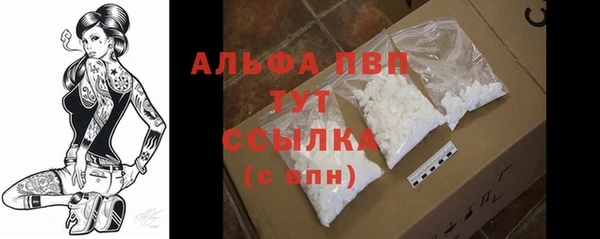 мдпв Семилуки