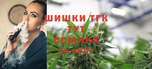 мдпв Семилуки