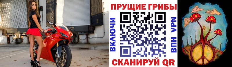 Галлюциногенные грибы Magic Shrooms  купить   Хвалынск 